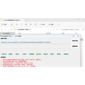 ‌央视视频超级下载工具V1.0：一键下载，高效便捷